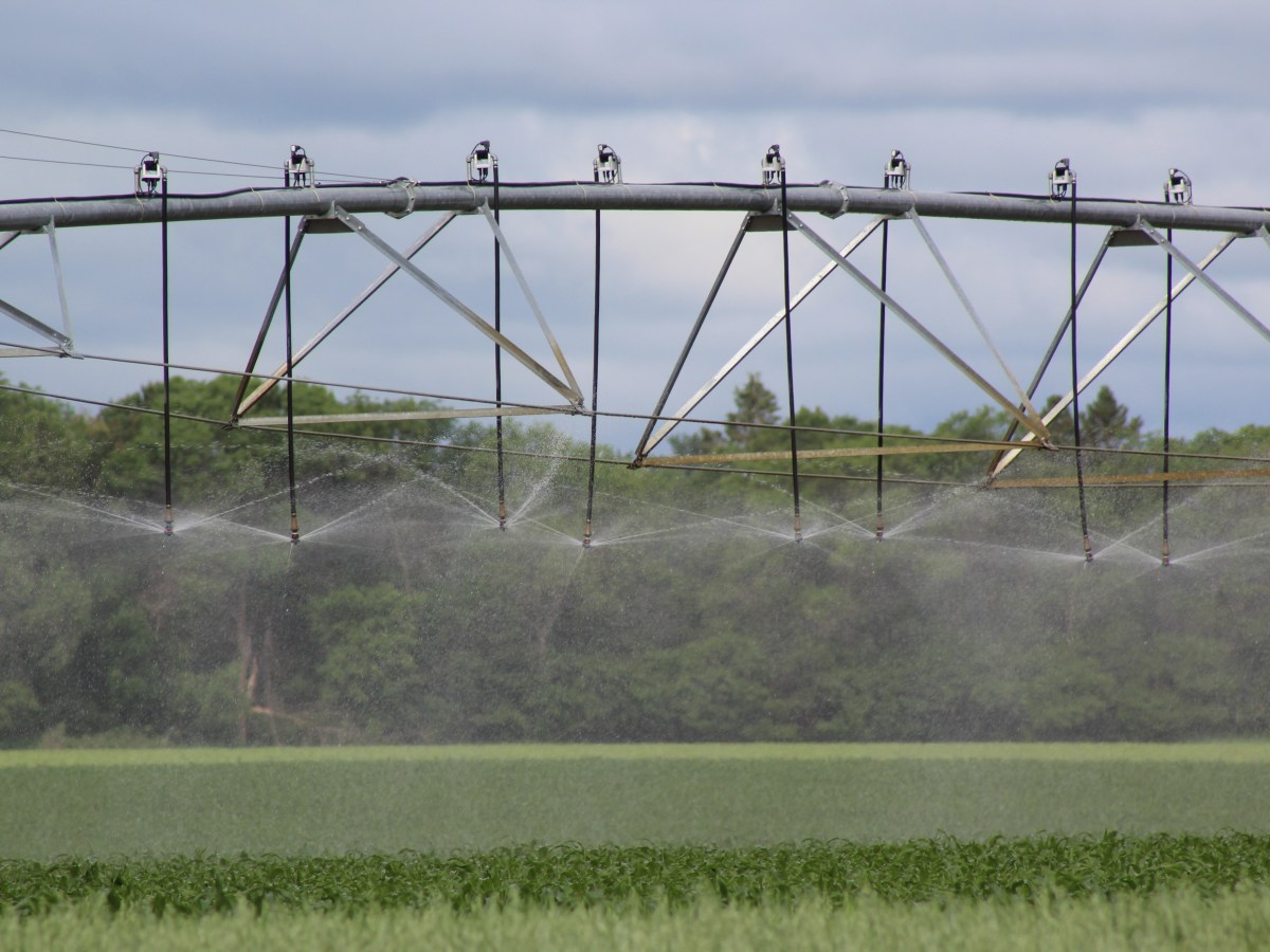 💧 Central Minnesota Irrigators: Support HF 2613 / SF 2793 for Drought Flexibility and Soil Health&nbsp;🌾